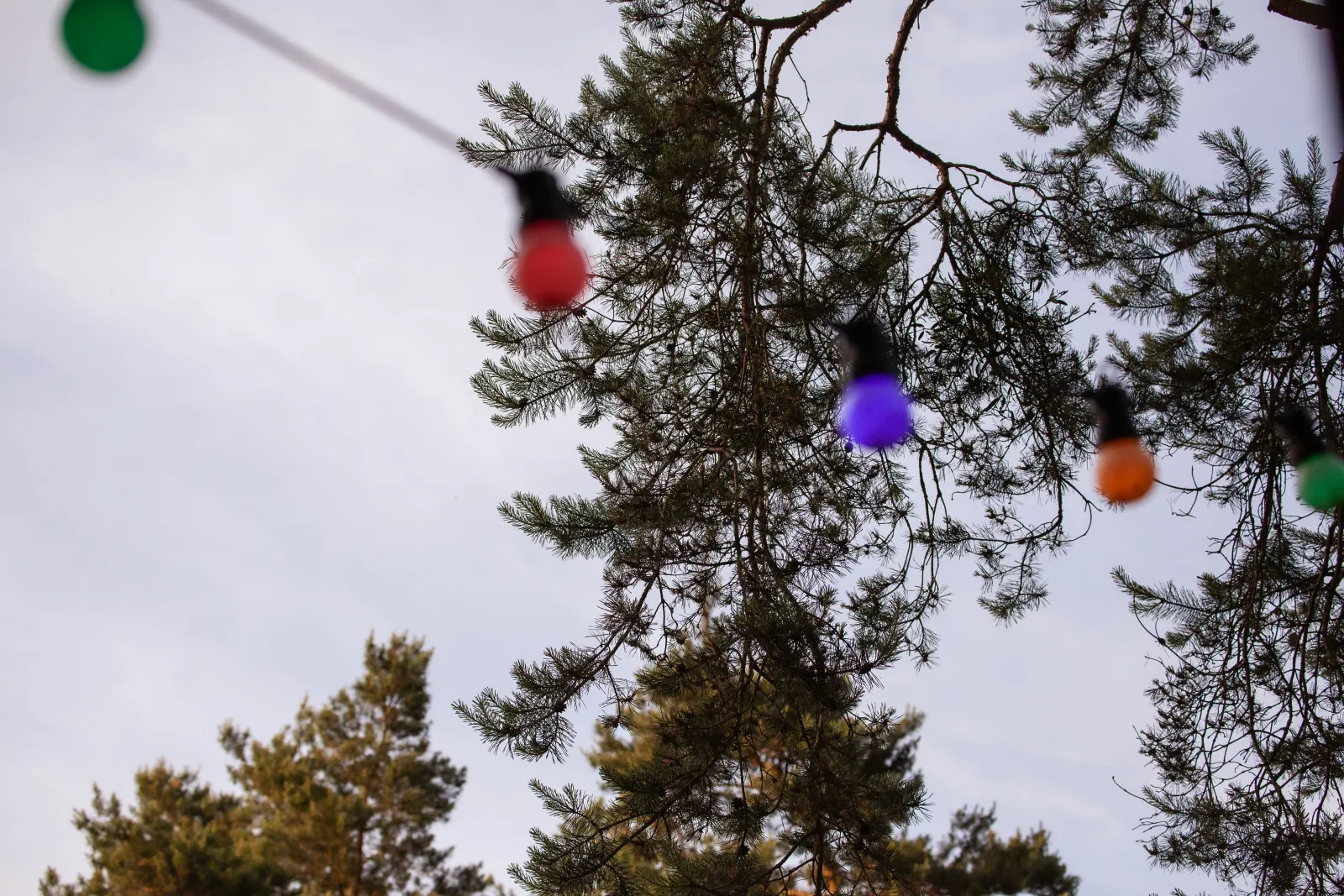Lichterkette über der Terrasse