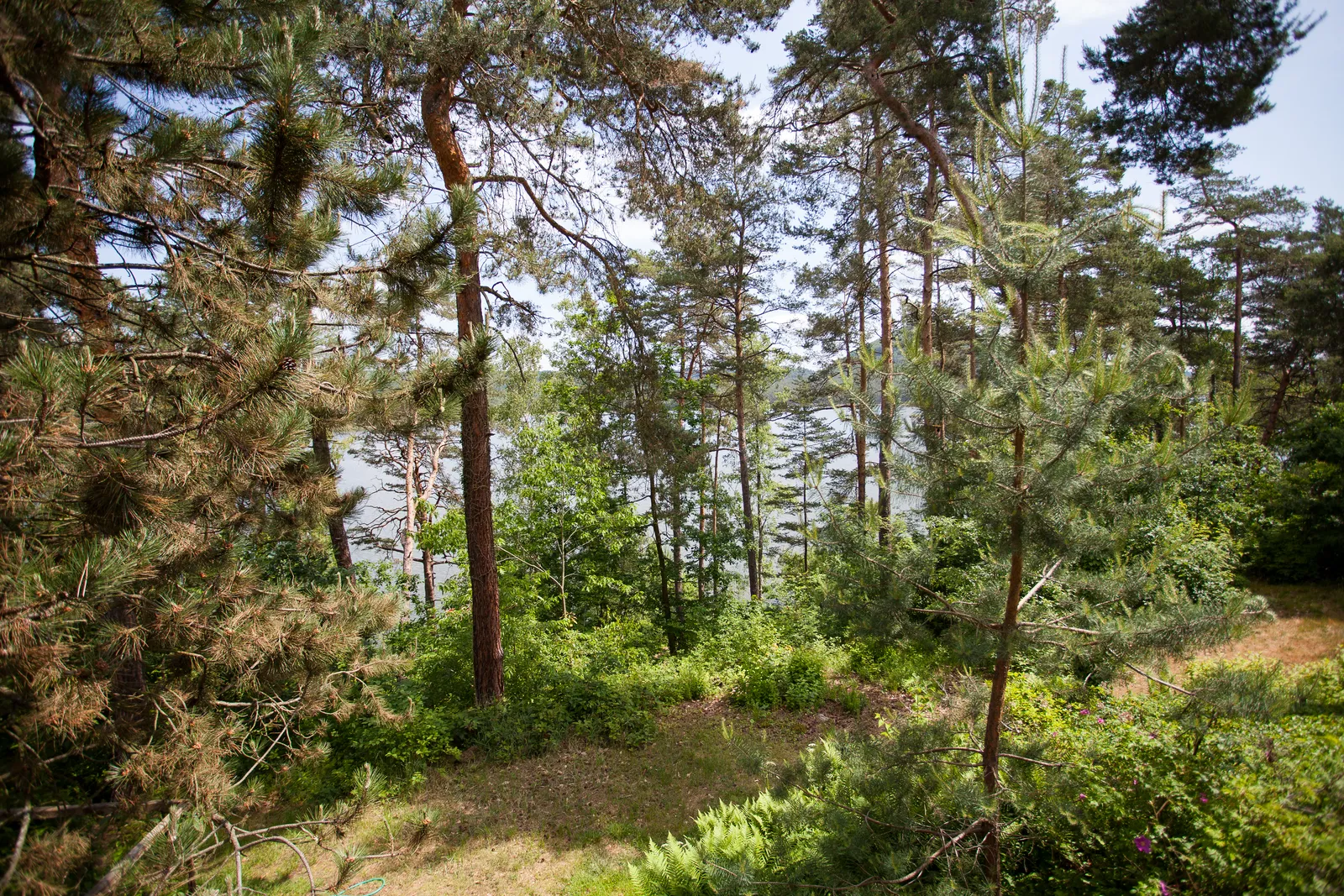 Terrasse mit Seeblick